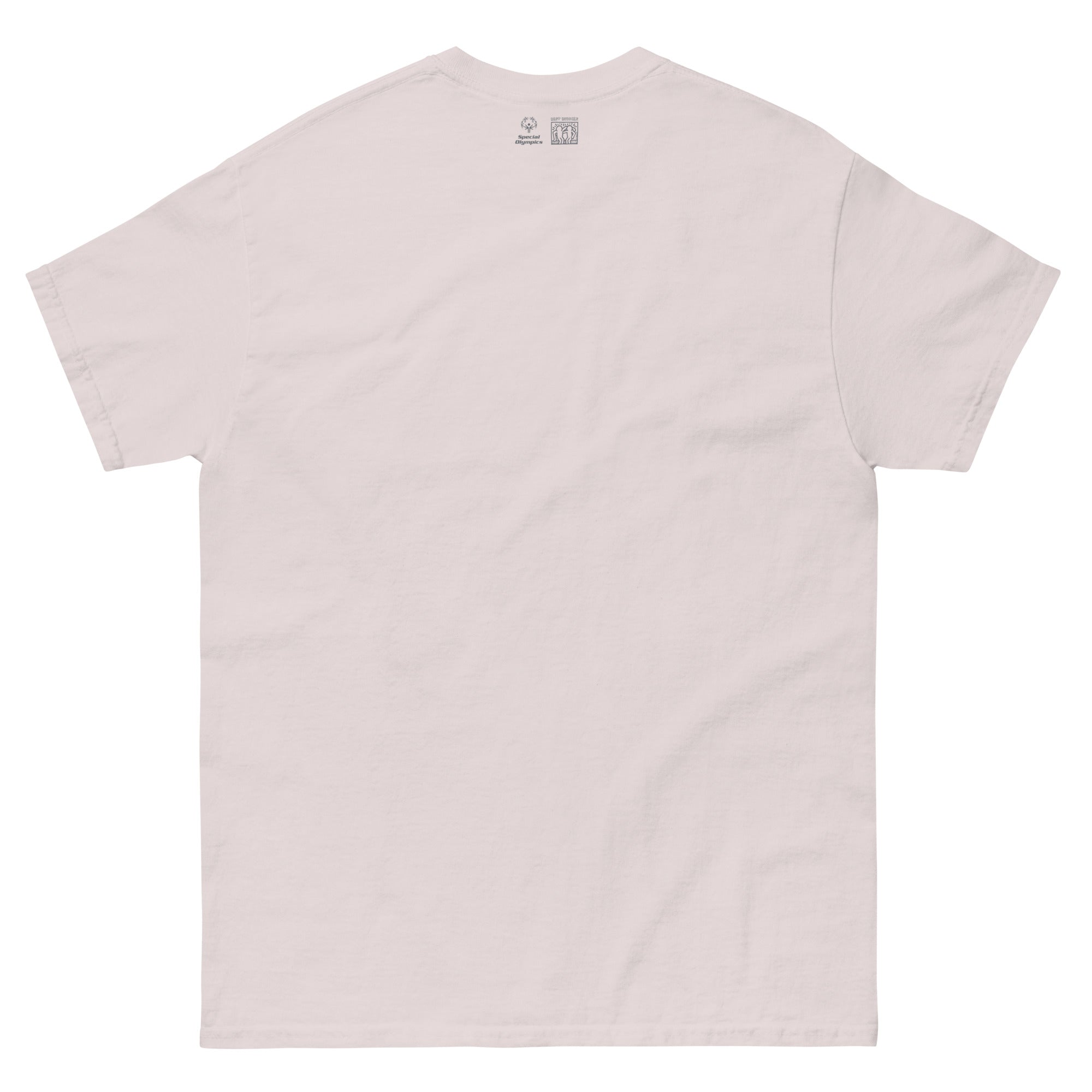 unisex-classic-tee-ice-grey-back-6a12aae815f59.jpg