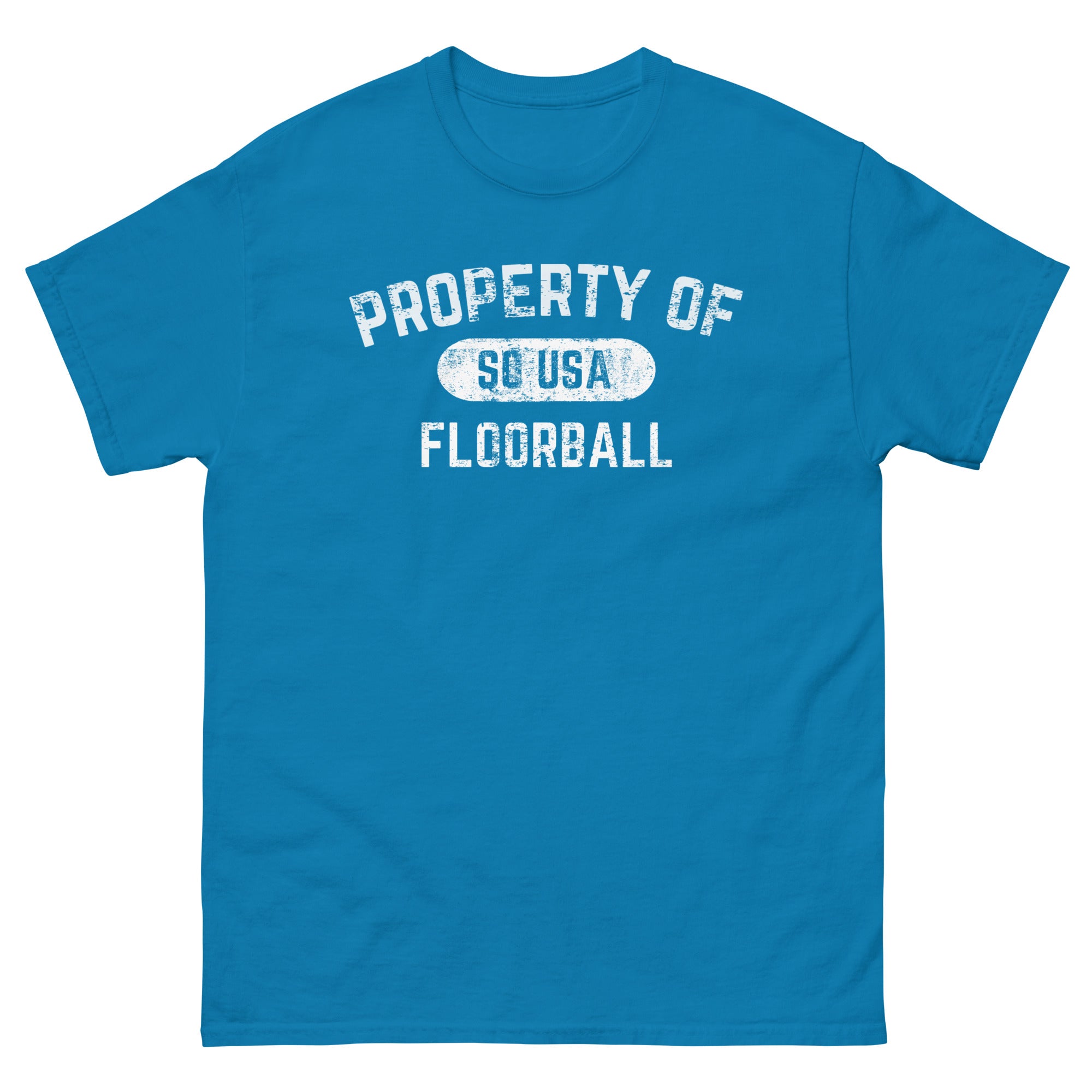 unisex-classic-tee-sapphire-front-6a0c5dc8cd309.jpg