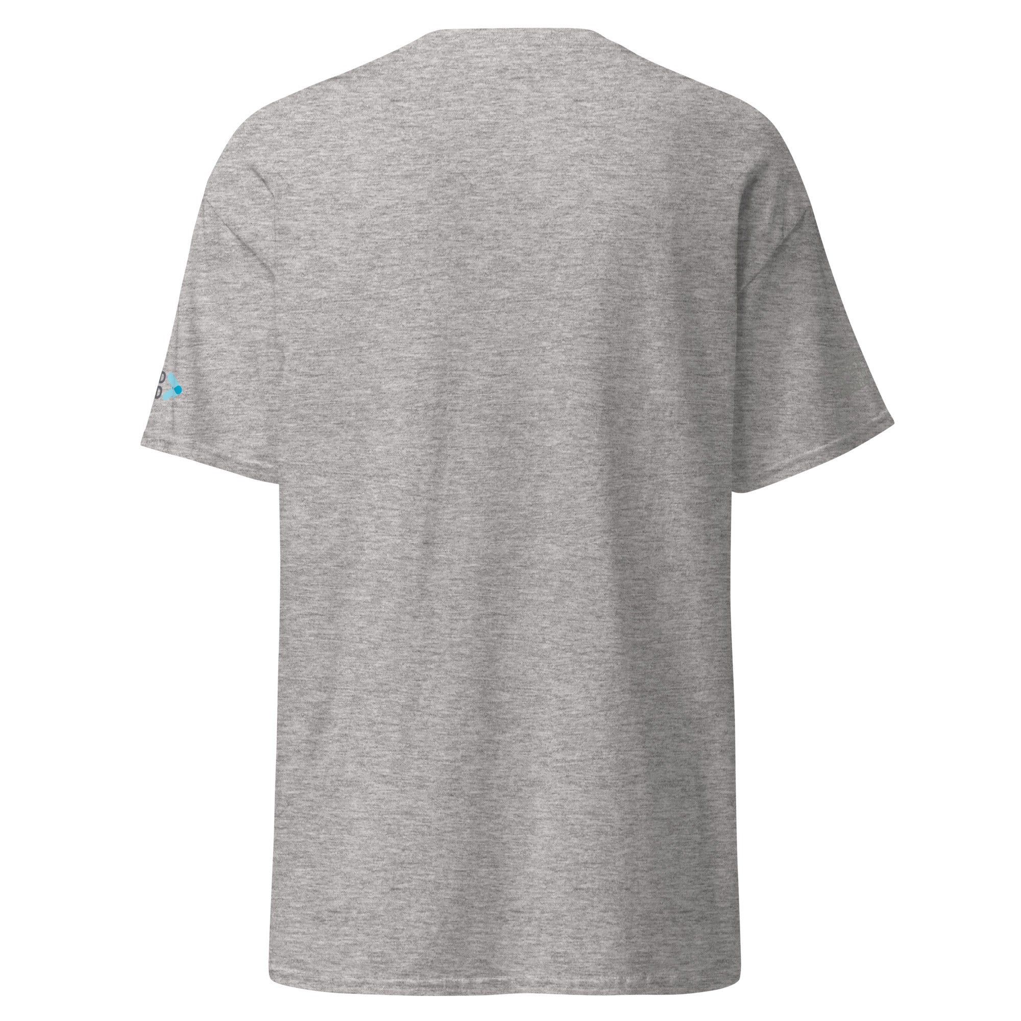 unisex-classic-tee-sport-grey-back-6a0cc40372775.jpg