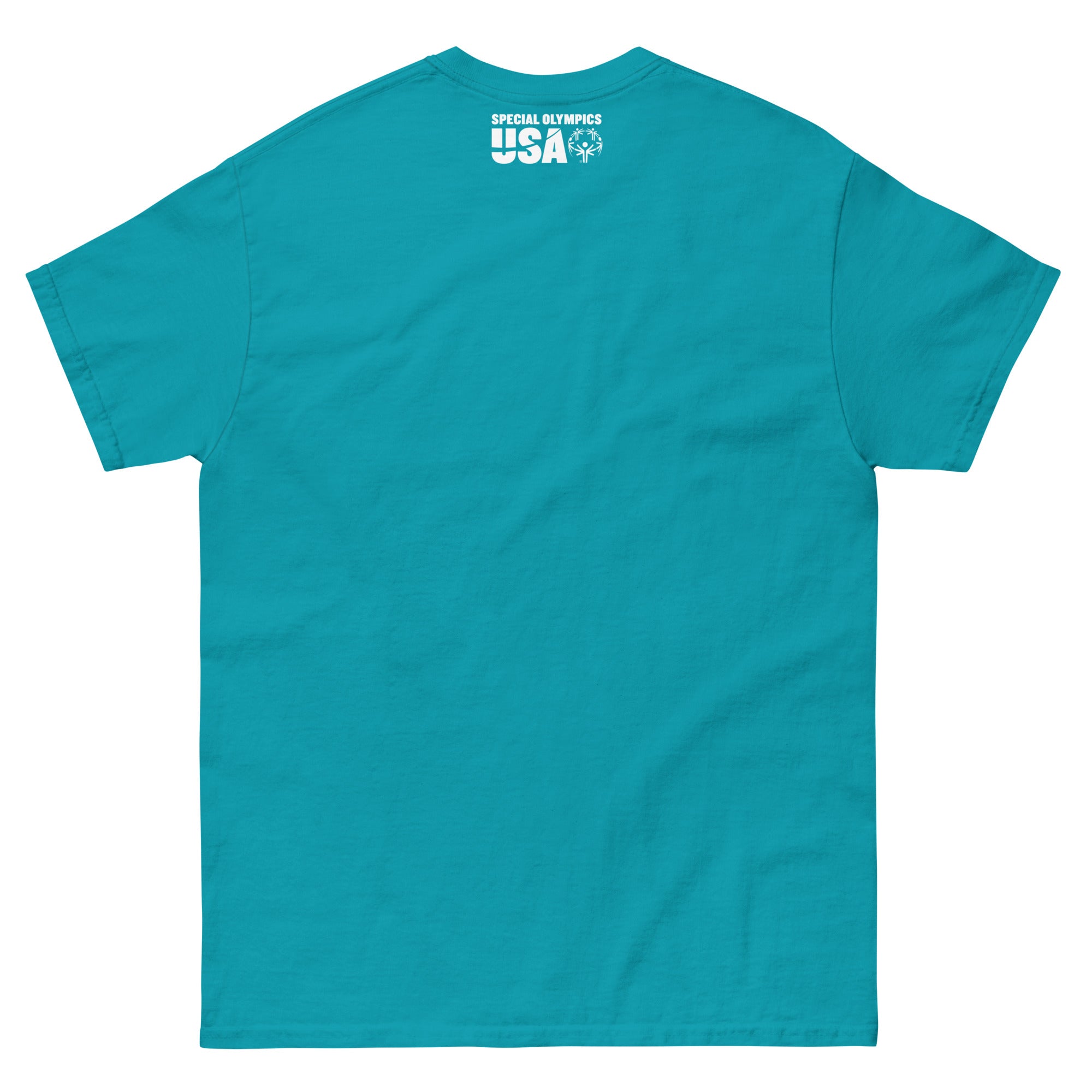 unisex-classic-tee-tropical-blue-back-6a0c5dc8cddef.jpg