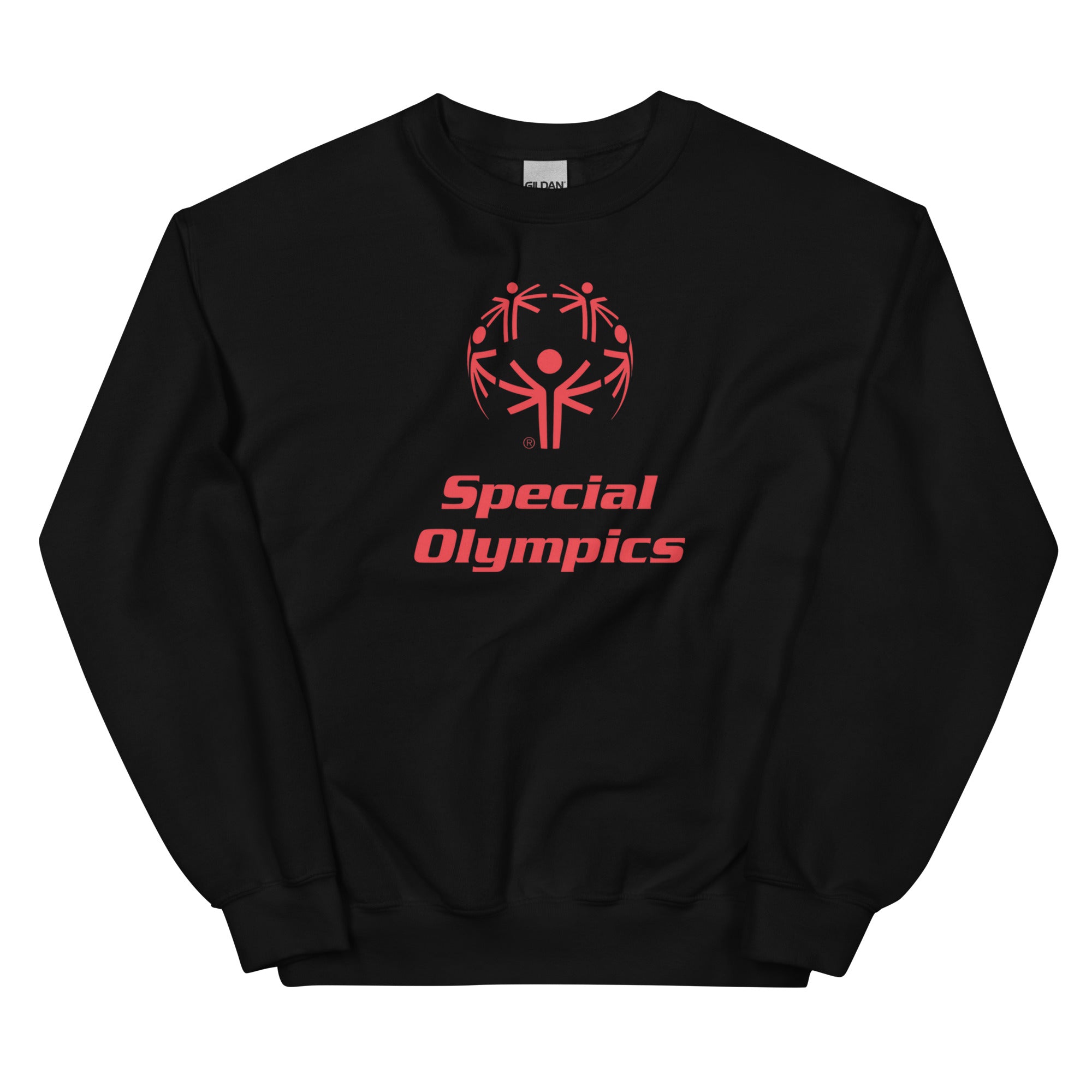 unisex-crew-neck-sweatshirt-black-front-69e93e5476d3c.jpg