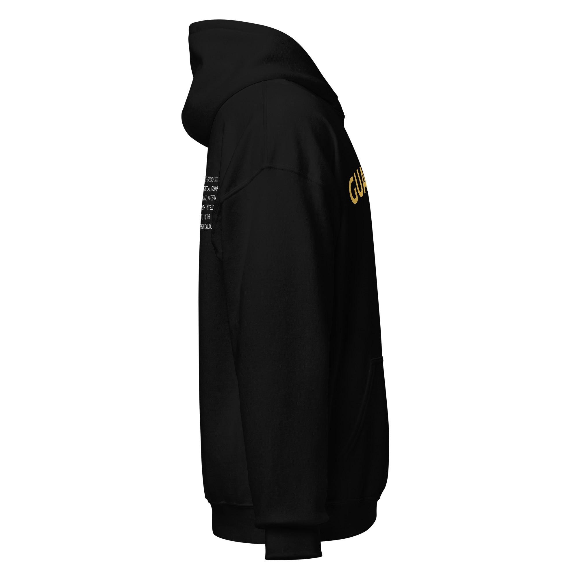Sweat à capuche LETR Guardian (Global)