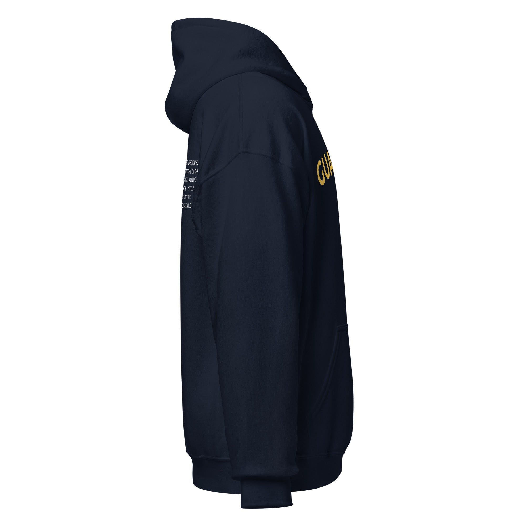 Sweat à capuche LETR Guardian (Global)