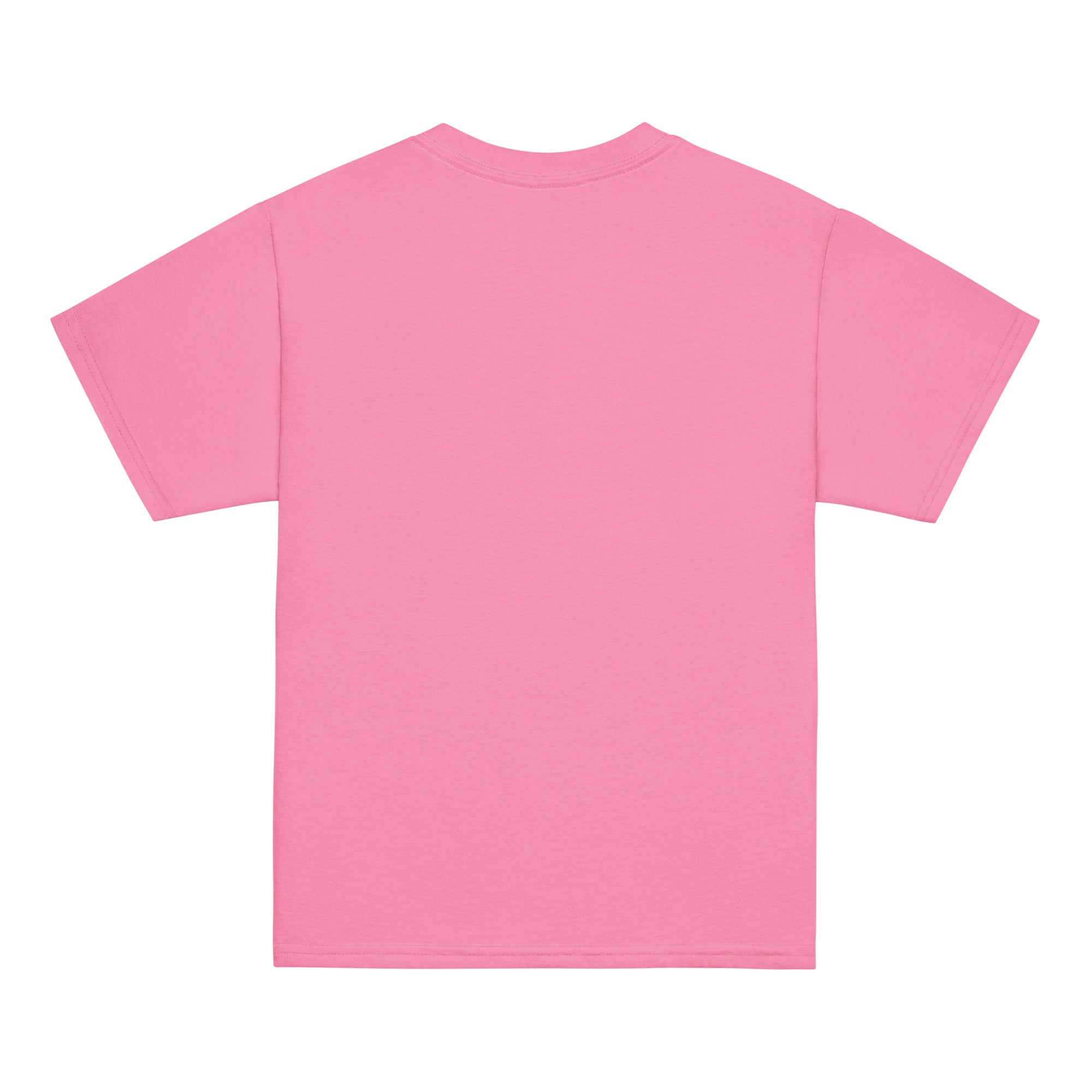 youth-classic-tee-azalea-back-6a0d4e36a8b85.jpg