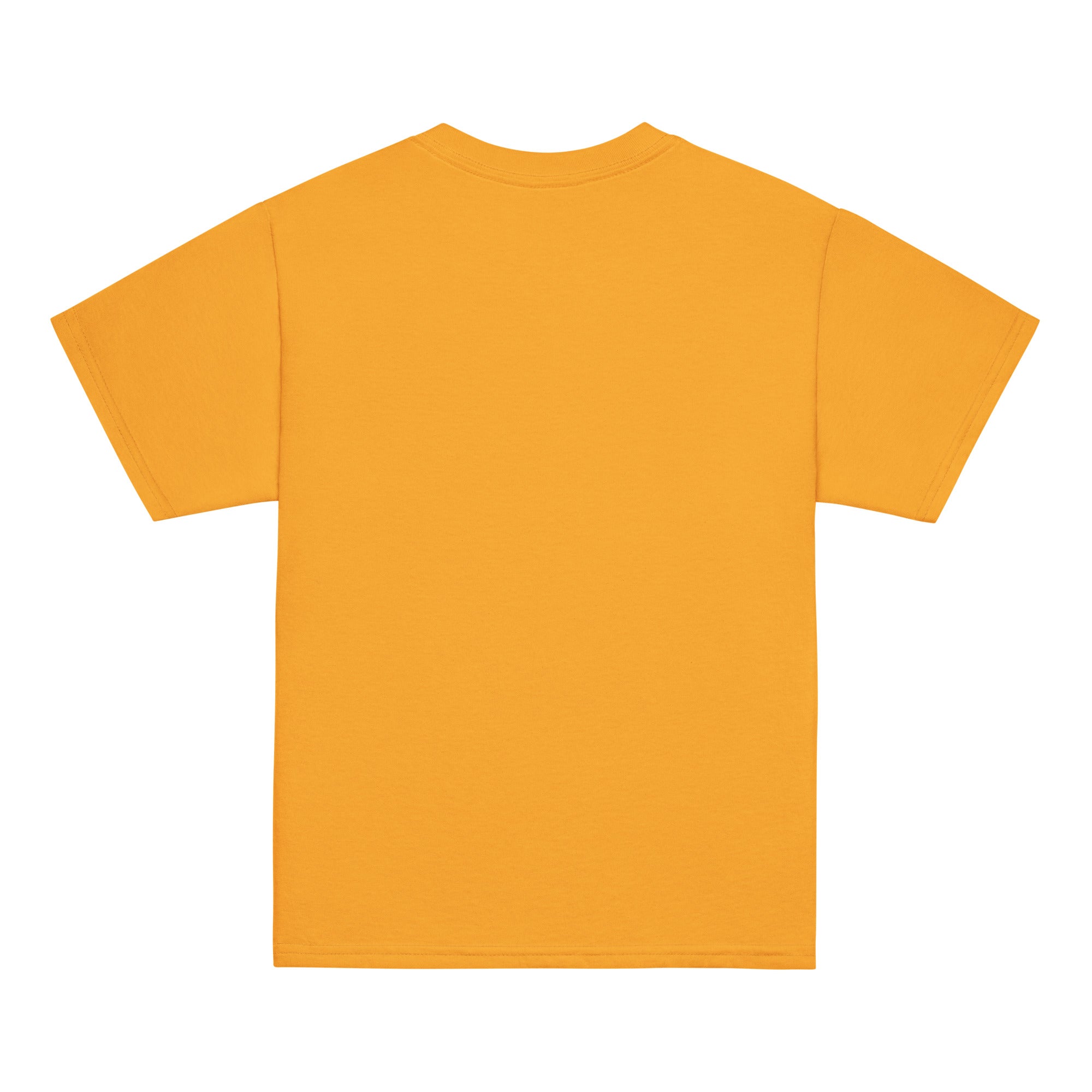 youth-classic-tee-gold-back-6a0d4e36a8cf2.jpg