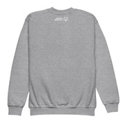 Sudadera juvenil Family Brother (Global)
