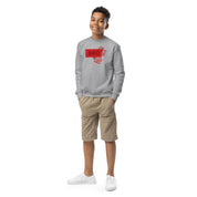 Sudadera juvenil Family Brother (Global)