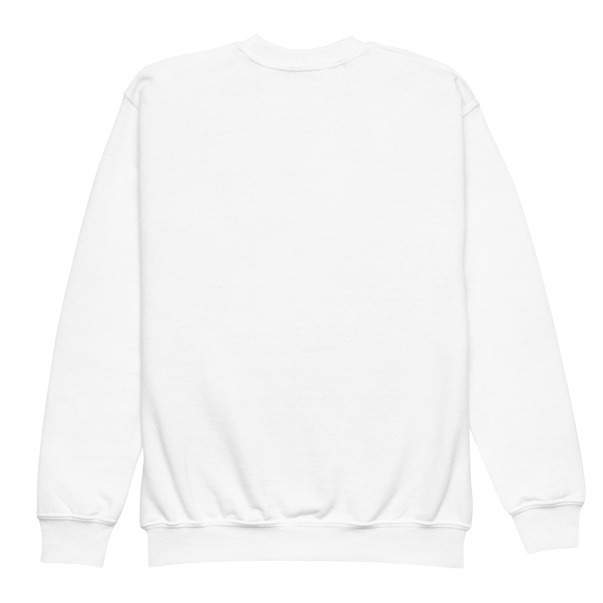 Family Sister Youth Sweatshirt